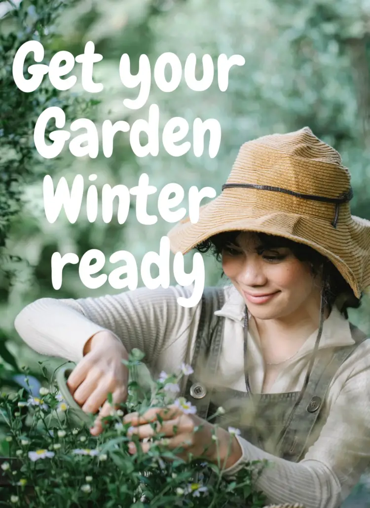 Winter Plant Protection: Shielding Your Garden from Snow and Frost